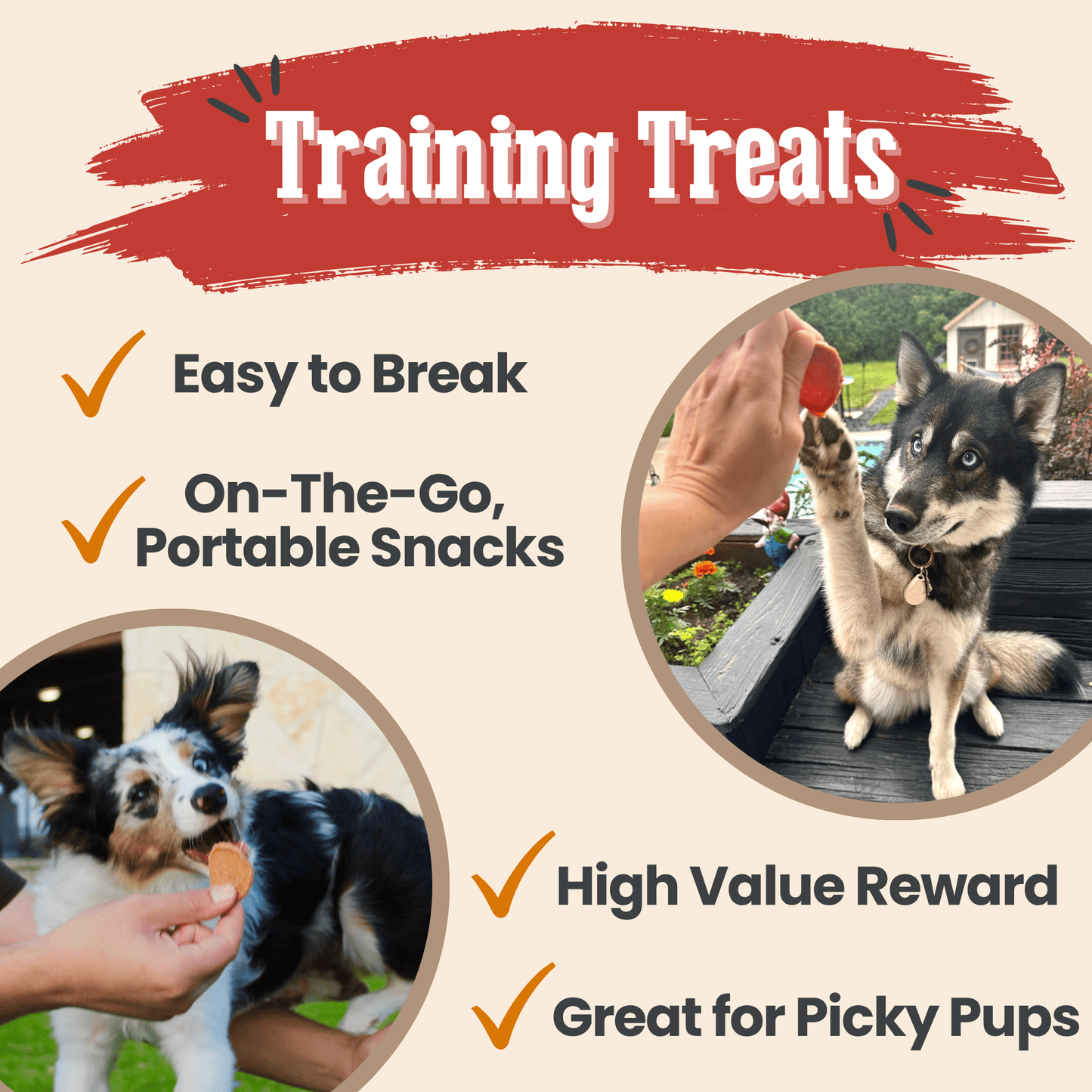 Dog Treats Turkey Chicken Chip Duo 8.4 Oz 🦃