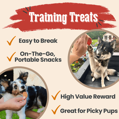Dog Treats Turkey Chicken Chip Duo 8.4 Oz 🦃