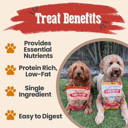 Dog Treats Turkey Chicken Chip Duo 8.4 Oz 🦃