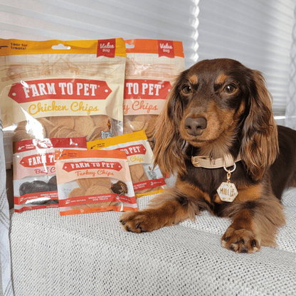Dog Treats Turkey Chicken Chip Duo 8.4 Oz 🦃