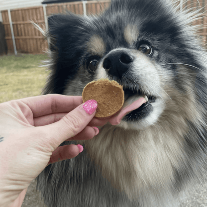 Dog Treats Fish Chips Wild-Caught 4.2 Oz 🐟