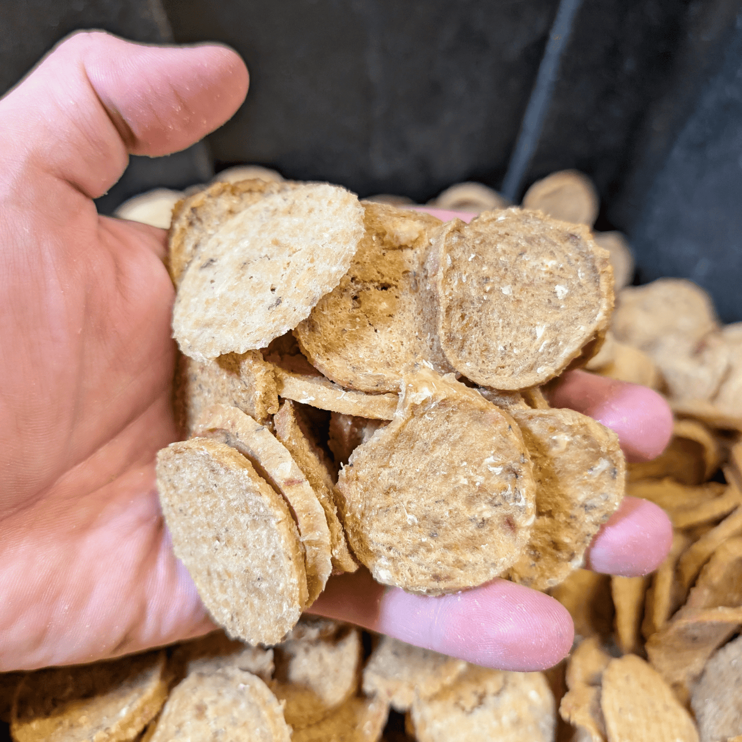 Dog Treats Fish Chips Wild-Caught 4.2 Oz 🐟