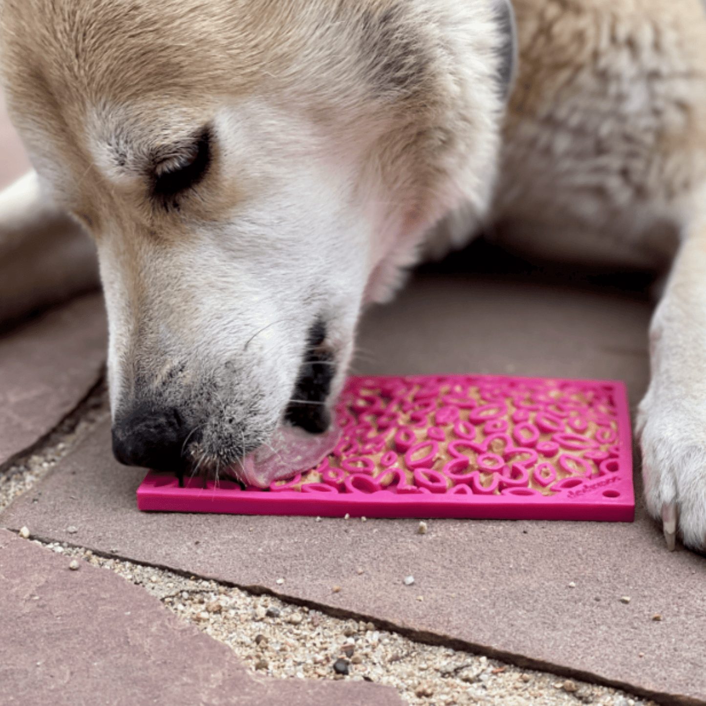 Lick Mats For Cats Small Dogs Slow Feeder 👅