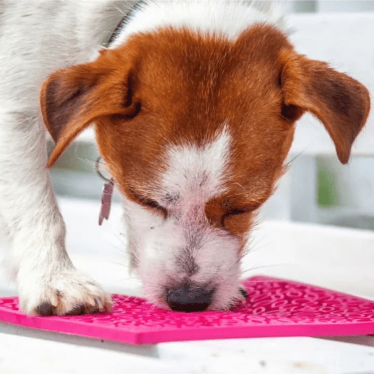 Lick Mats For Cats Small Dogs Slow Feeder 👅