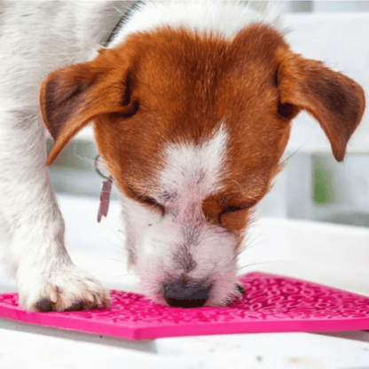 Lick Mats For Cats Small Dogs Slow Feeder 👅