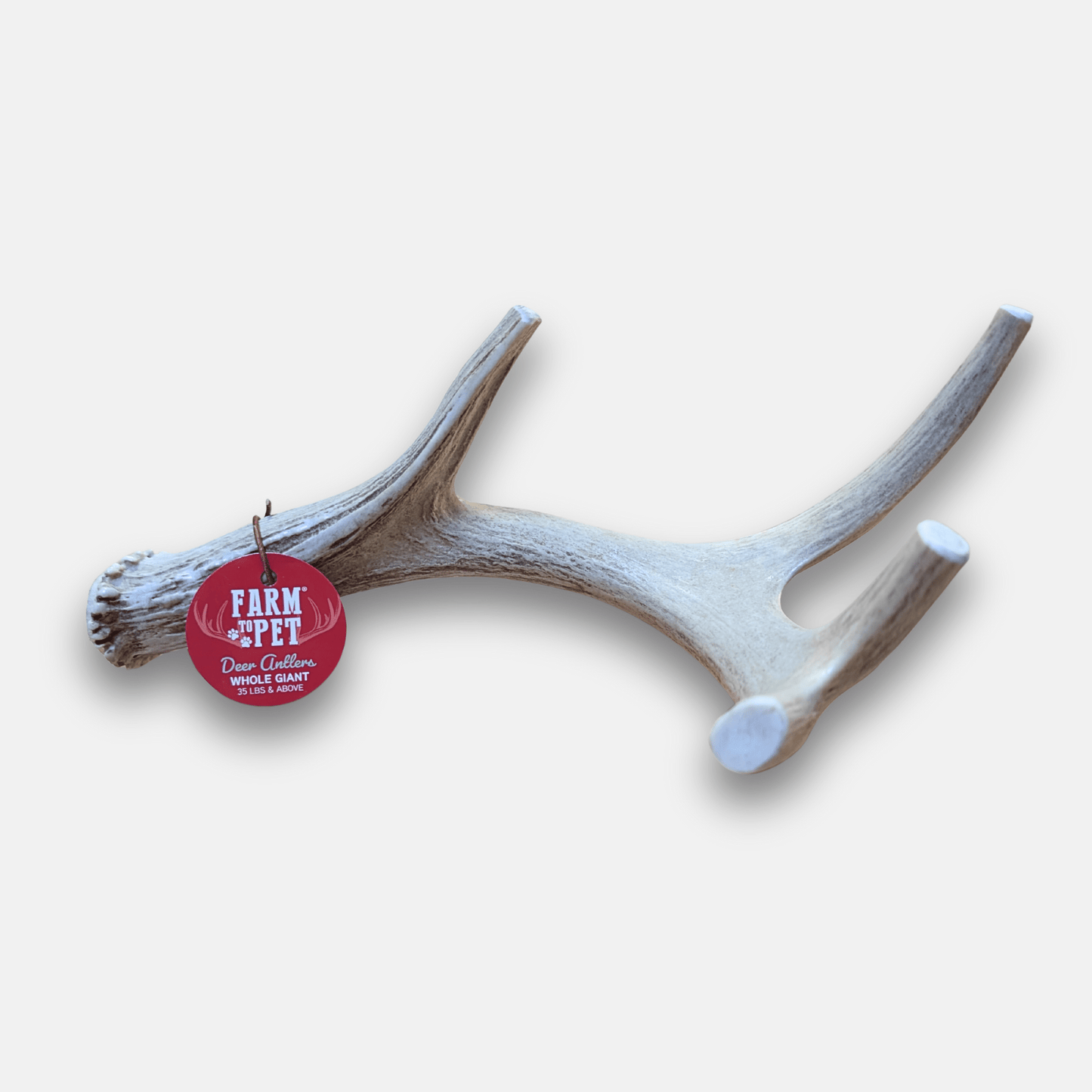 Deer Antler Dog Chews Large Whole 6 Oz 🦌