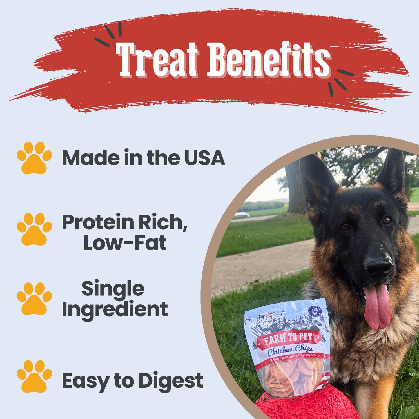 Dog Treats Americana Chicken Chips 4.2 Oz 🇺🇸