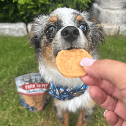 Dog Treats Americana Chicken Chips 4.2 Oz 🇺🇸