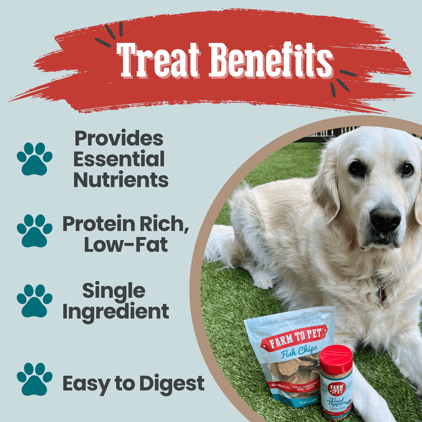 Dog Treats Fish Chips Wild-Caught 4.2 Oz 🐟