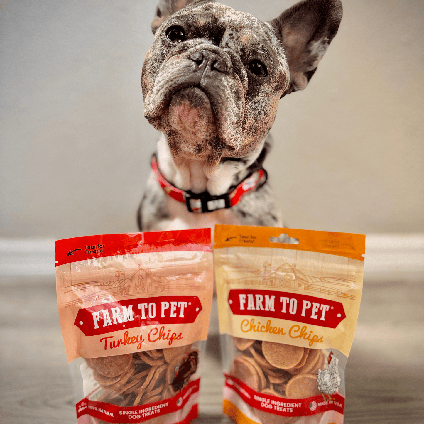 Dog Treats Turkey Chicken Chip Duo 8.4 Oz 🦃