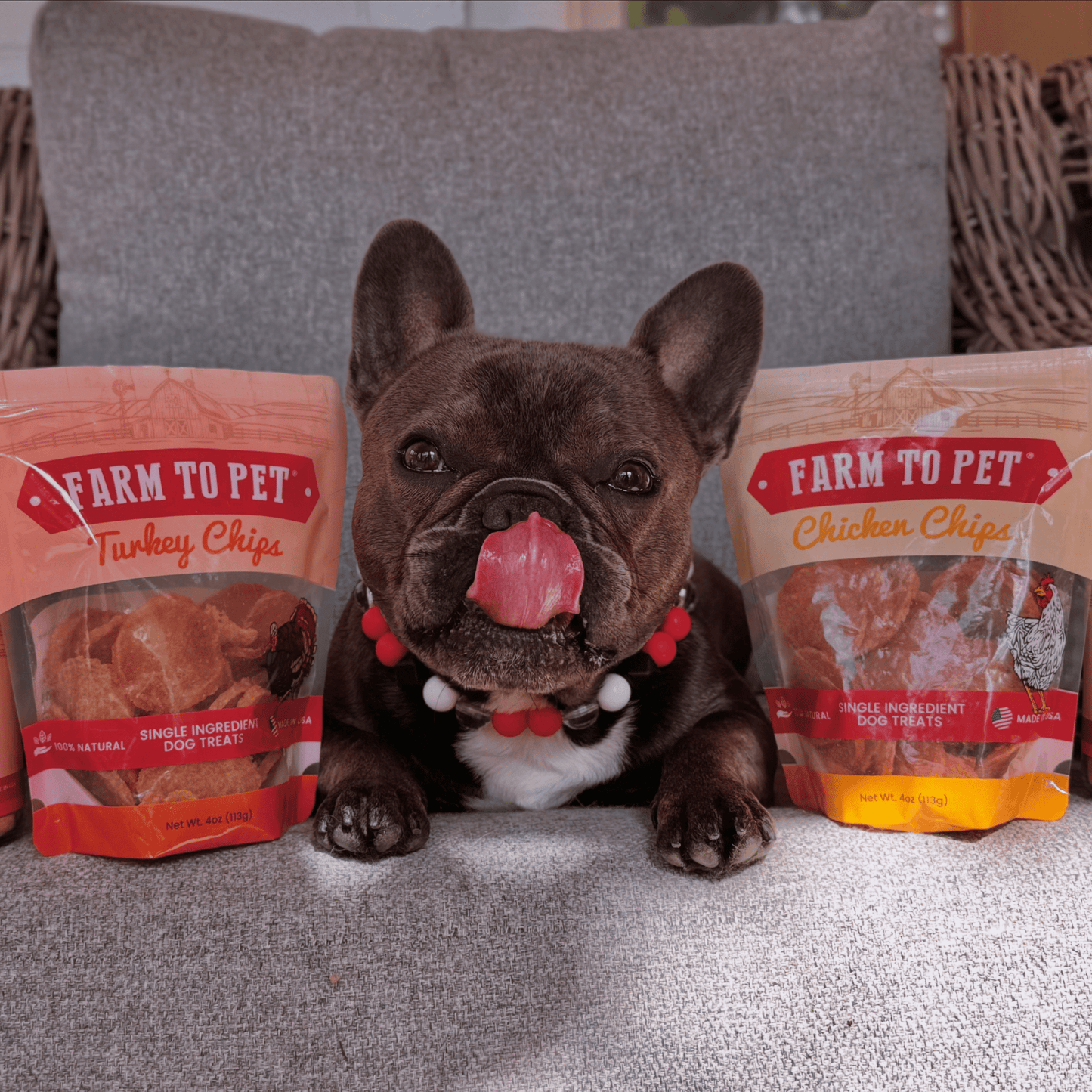 Dog Treats Turkey Chicken Chip Duo 8.4 Oz 🦃