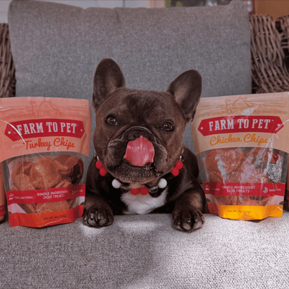 Dog Treats Turkey Chicken Chip Duo 8.4 Oz 🦃