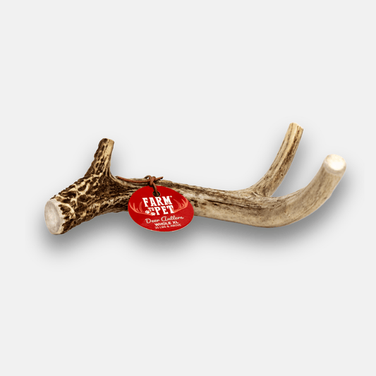 Deer Antler Dog Chews Large Whole 6 Oz 🦌