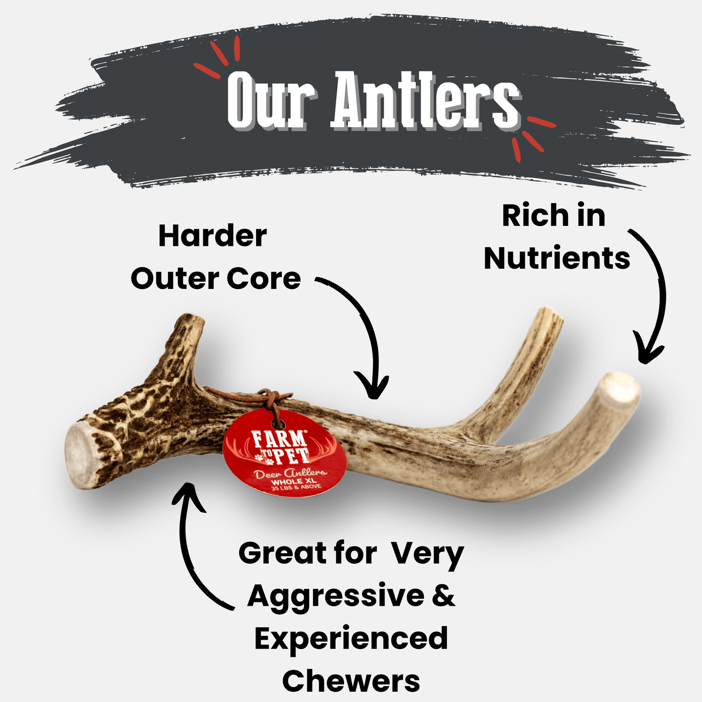 Deer Antler Dog Chews Large Whole 6 Oz 🦌