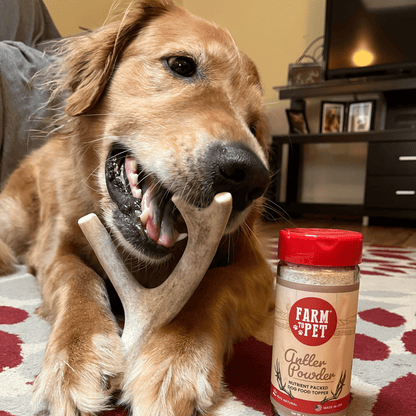 Deer Antler Dog Chews Large Whole 6 Oz 🦌