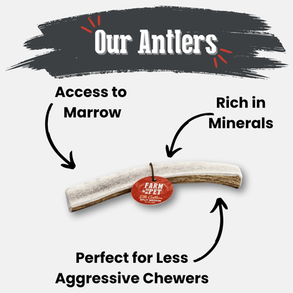 Elk Antlers Dog Chews Whole And Split Options 🦌