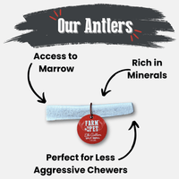 Elk Antler Dog Chews | All-Natural Whole and Split Elk