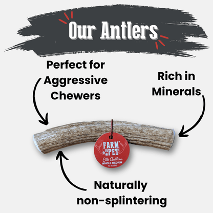 Elk Antlers Dog Chews Whole And Split Options 🦌