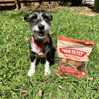 Dog Treats Turkey Chips Single Ingredient Natural 4oz 🦃