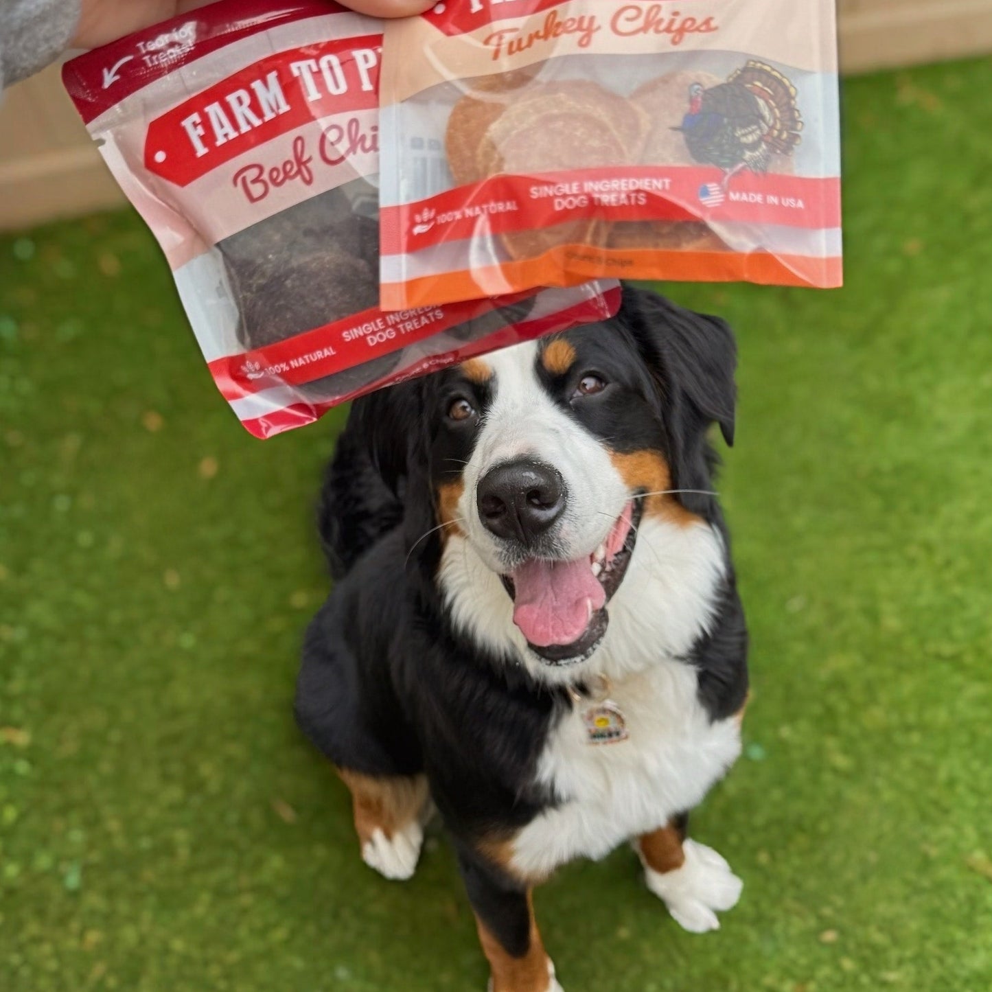 Dog Treats Puppy Starter Pack 5.7 Oz Training 🐶