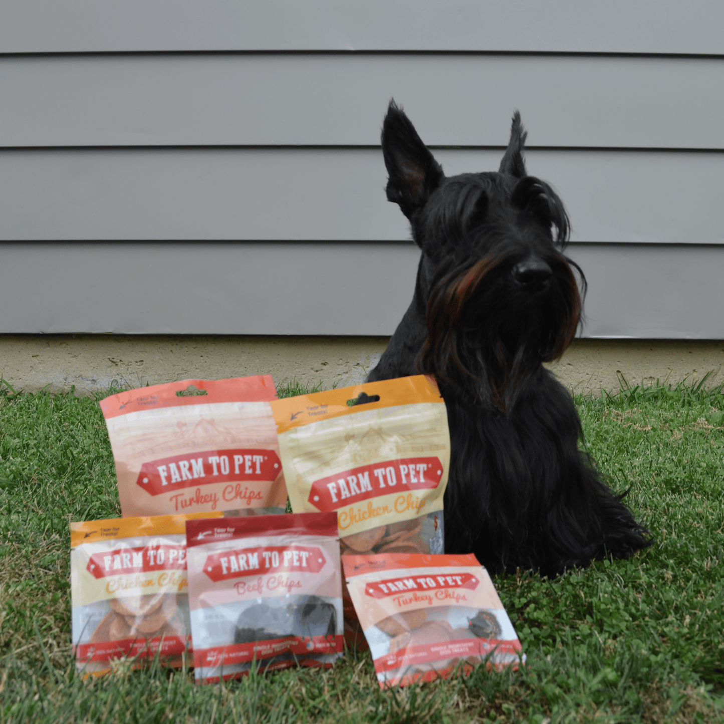 Dog Treats Puppy Starter Pack 5.7 Oz Training 🐶