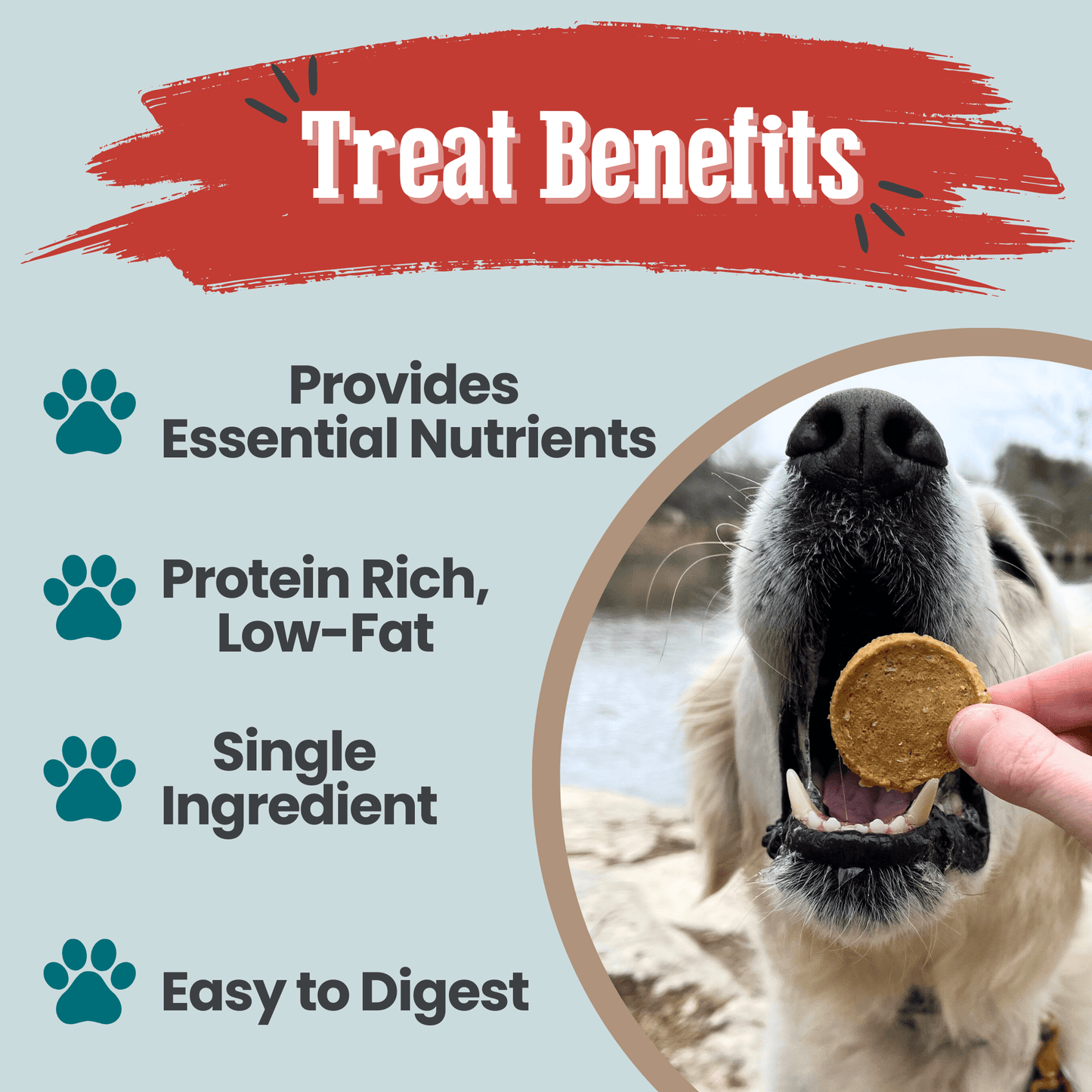 Dog Treats Fish Chips Wild-Caught 4.2 Oz 🐟