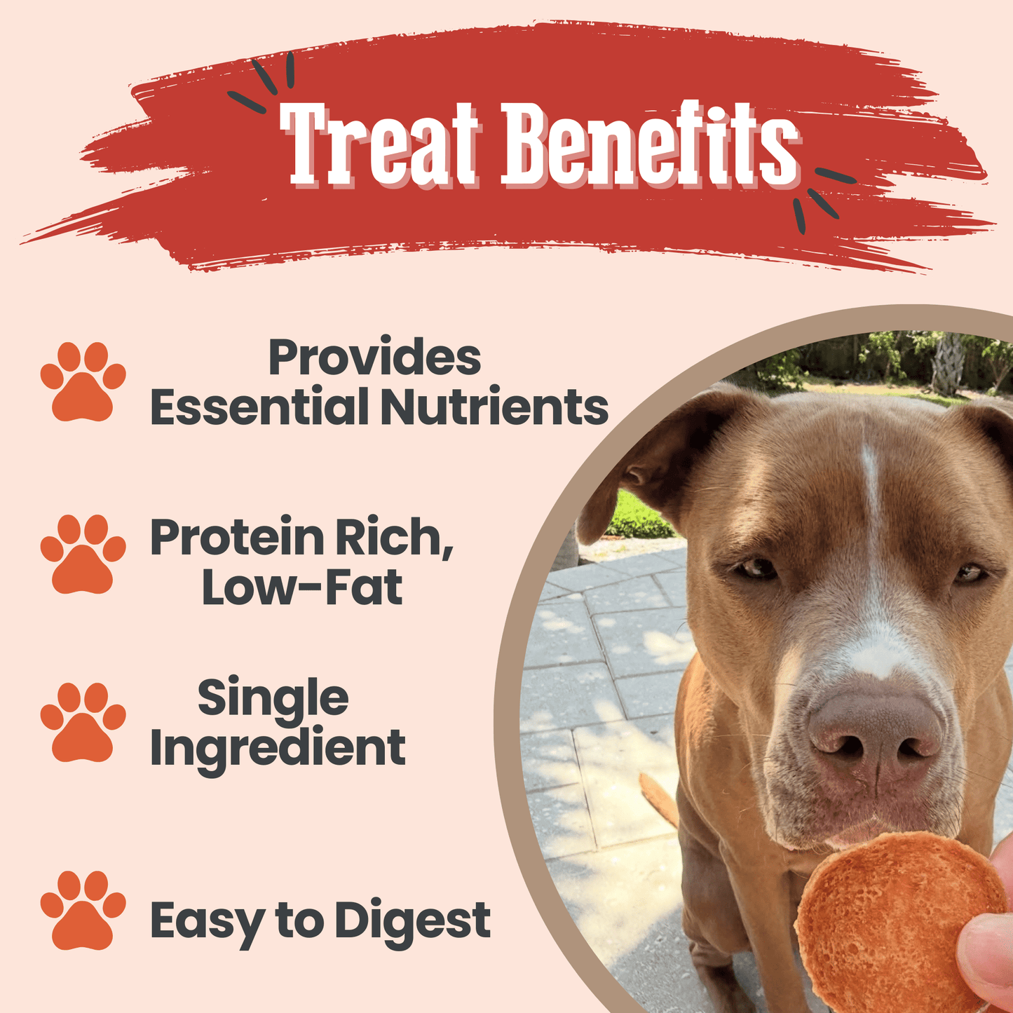 Dog Treats Turkey Chips Single Ingredient Natural 4oz 🦃
