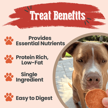 Dog Treats Turkey Chips Single Ingredient Natural 4oz 🦃