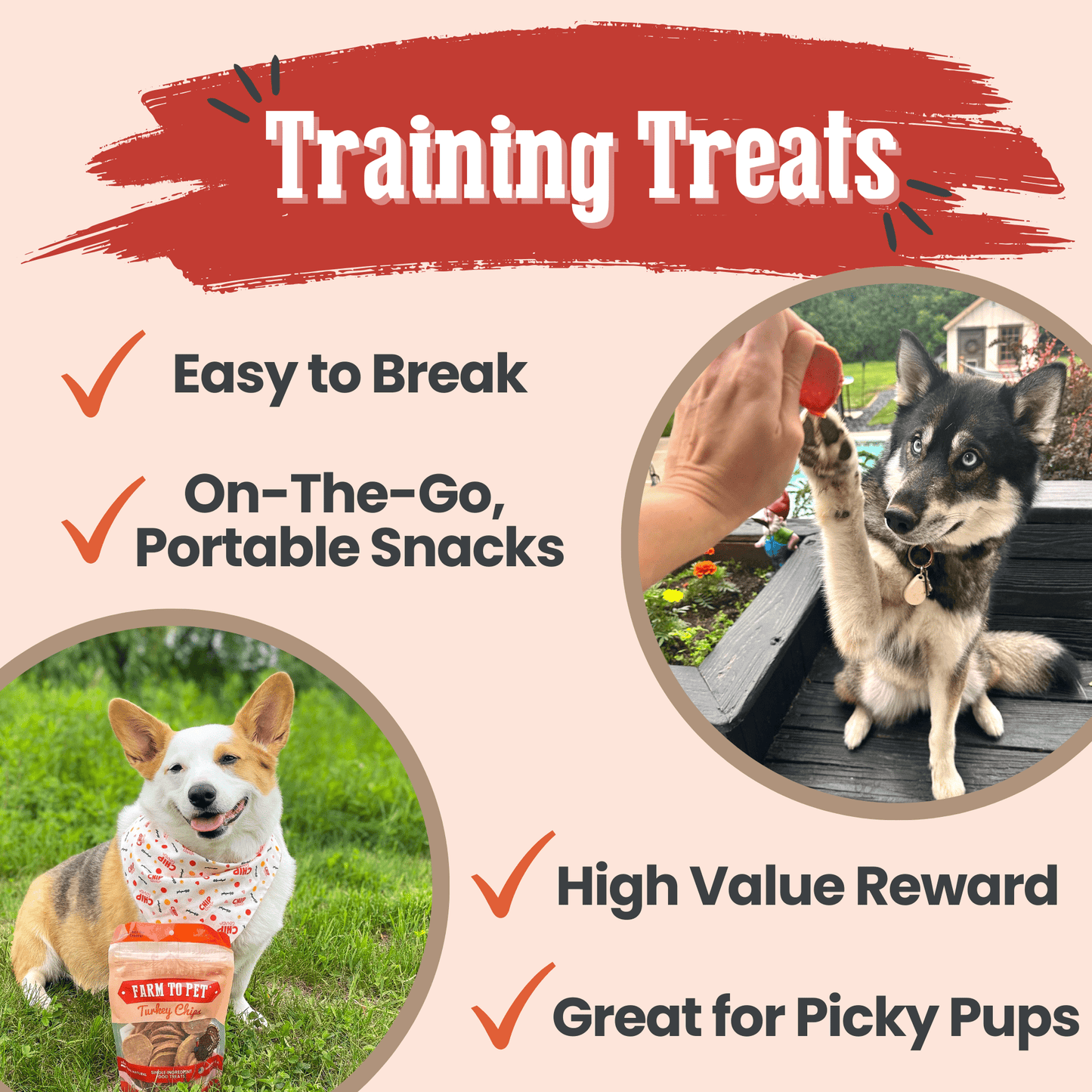 Dog Treats Turkey Chips Single Ingredient Natural 4oz 🦃