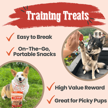 Dog Treats Turkey Chips Single Ingredient Natural 4oz 🦃