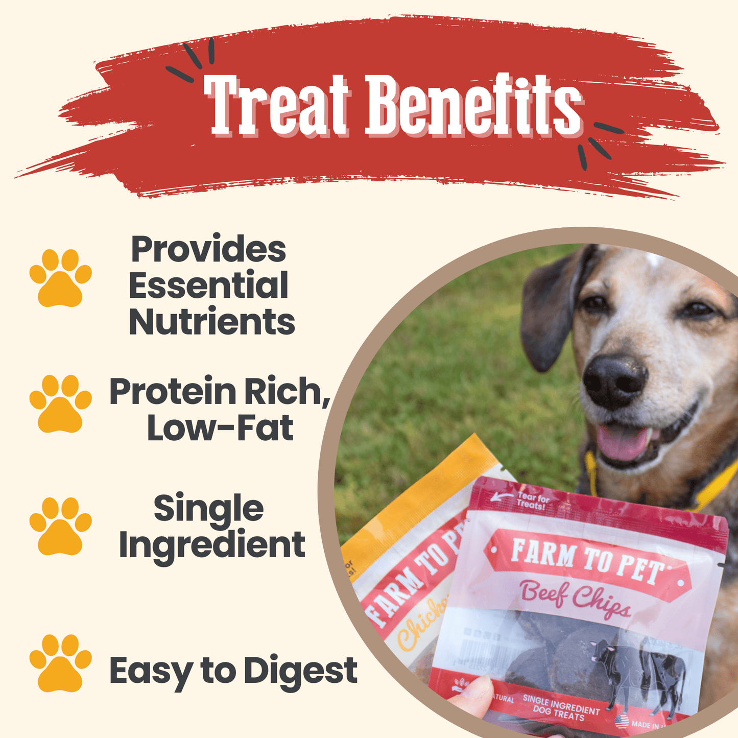 Dog Treats Puppy Starter Pack 5.7 Oz Training 🐶
