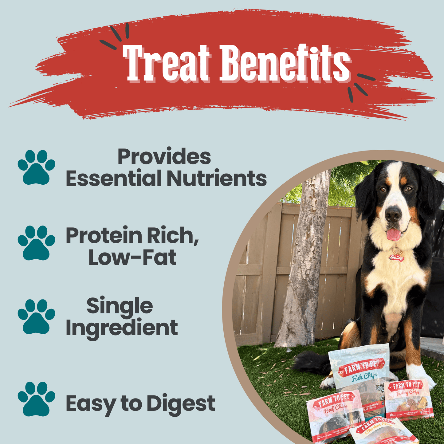 Dog Treats Puppy Starter Pack 5.7 Oz Training 🐶
