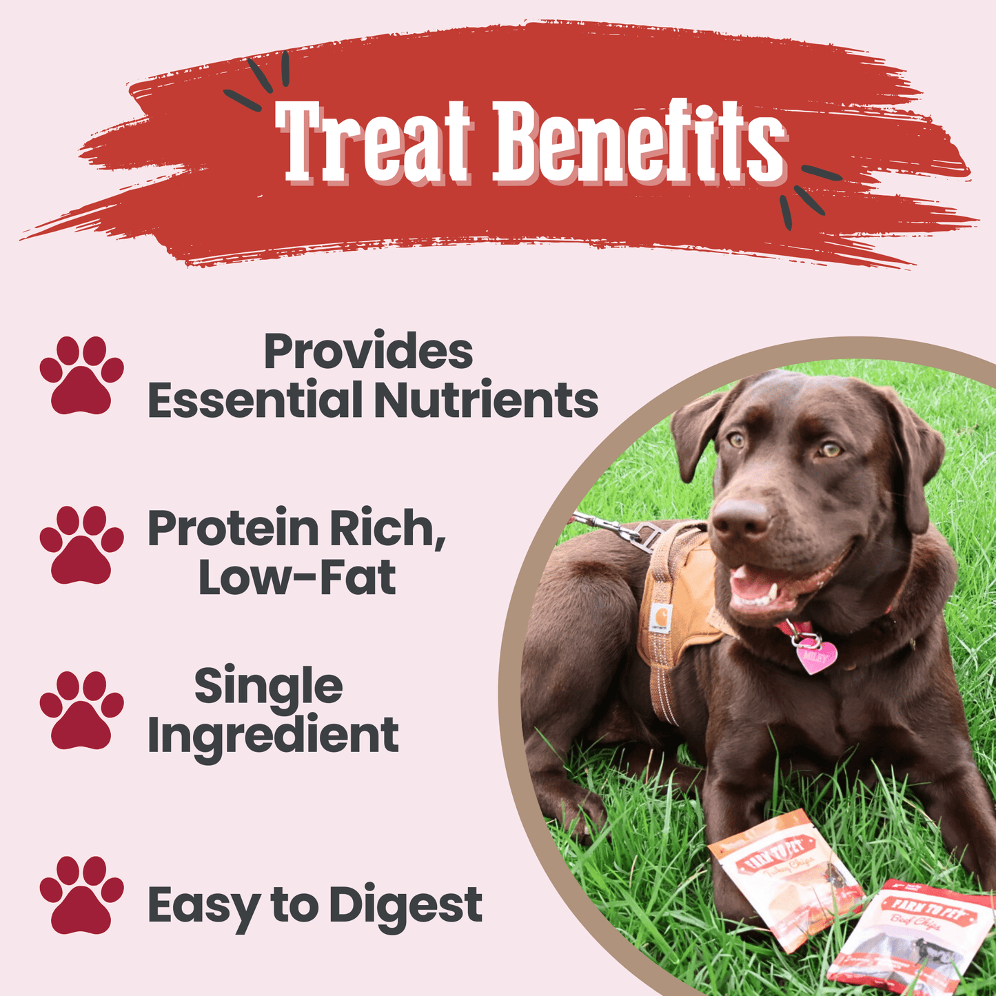 Dog Treats Puppy Starter Pack 5.7 Oz Training 🐶