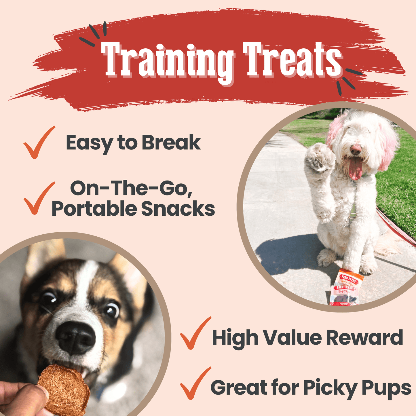 Dog Treats Puppy Starter Pack 5.7 Oz Training 🐶