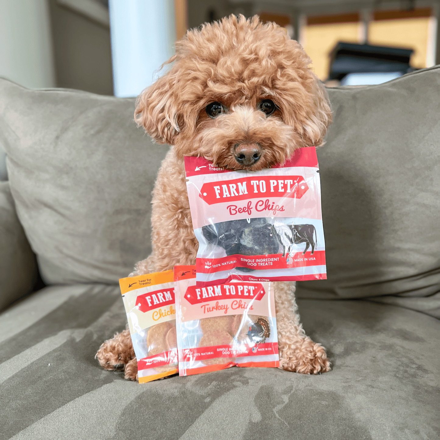 Dog Treats Puppy Starter Pack 5.7 Oz Training 🐶