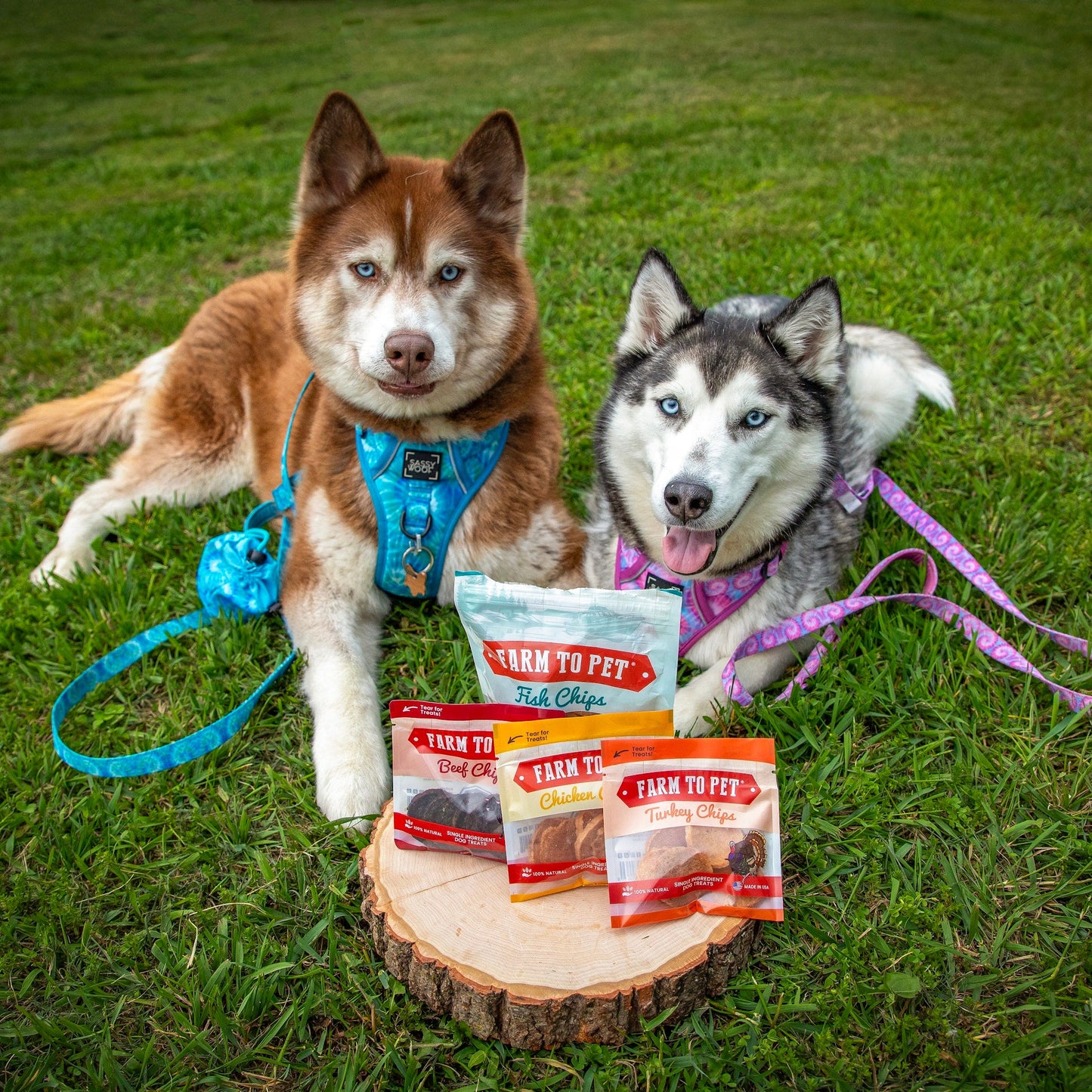 Dog Treats Puppy Starter Pack 5.7 Oz Training 🐶