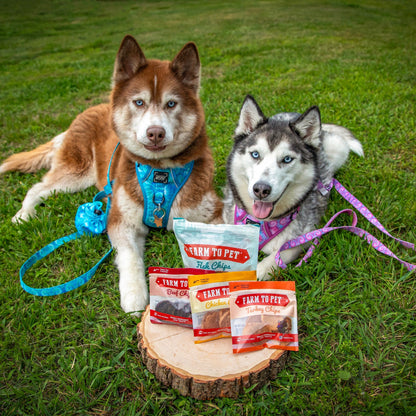 Dog Treats Puppy Starter Pack 5.7 Oz Training 🐶