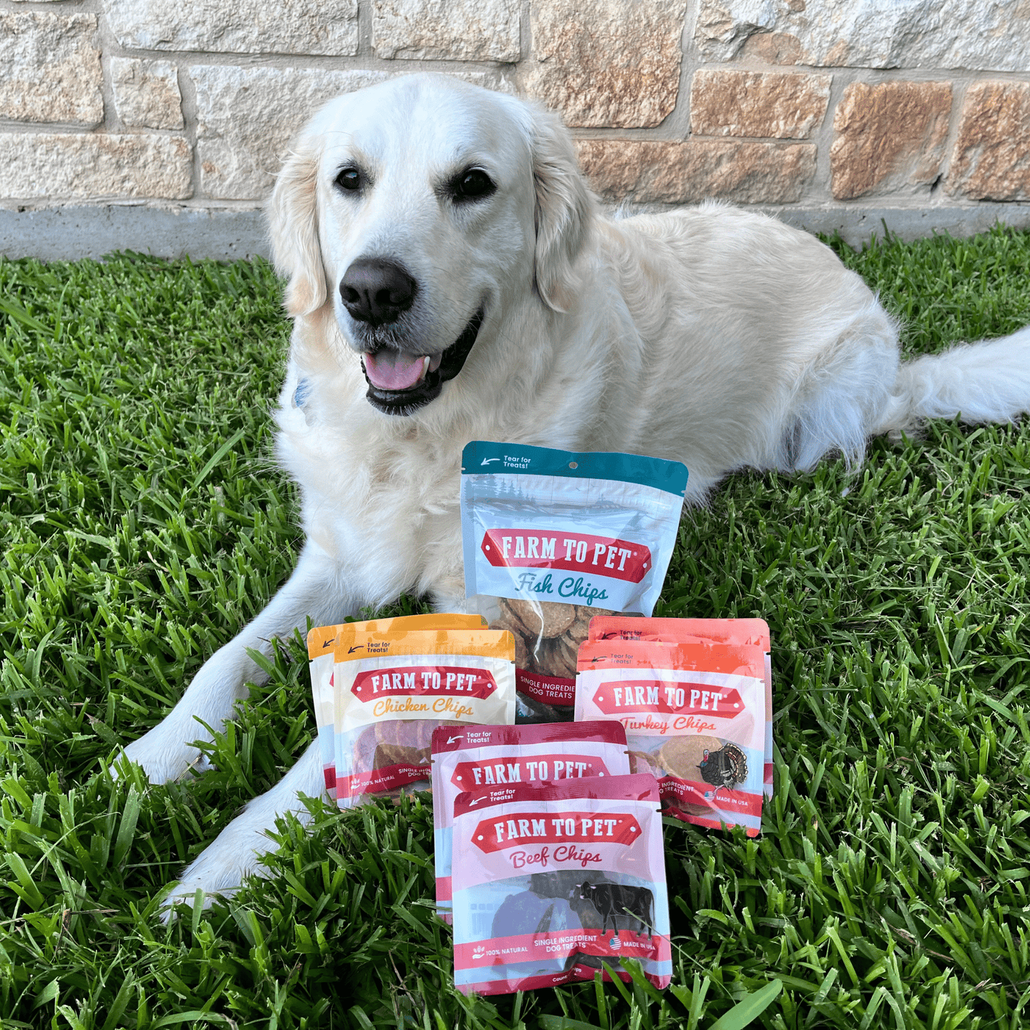 Dog Treats Puppy Starter Pack 5.7 Oz Training 🐶