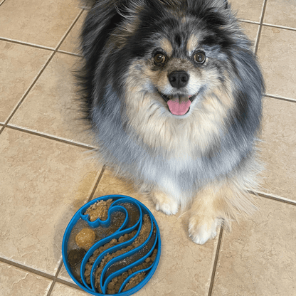 Slow Feeder Dog Bowl Honeycomb Design 🍽️