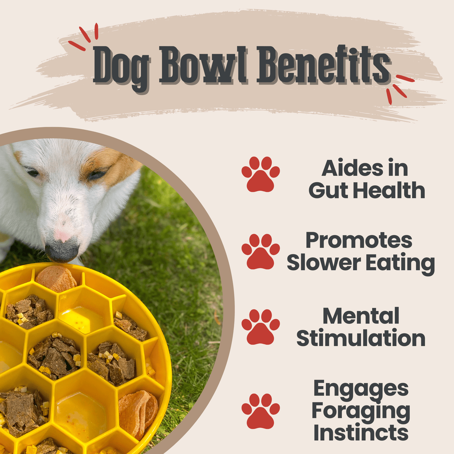 Slow Feeder Dog Bowl Honeycomb Design 🍽️