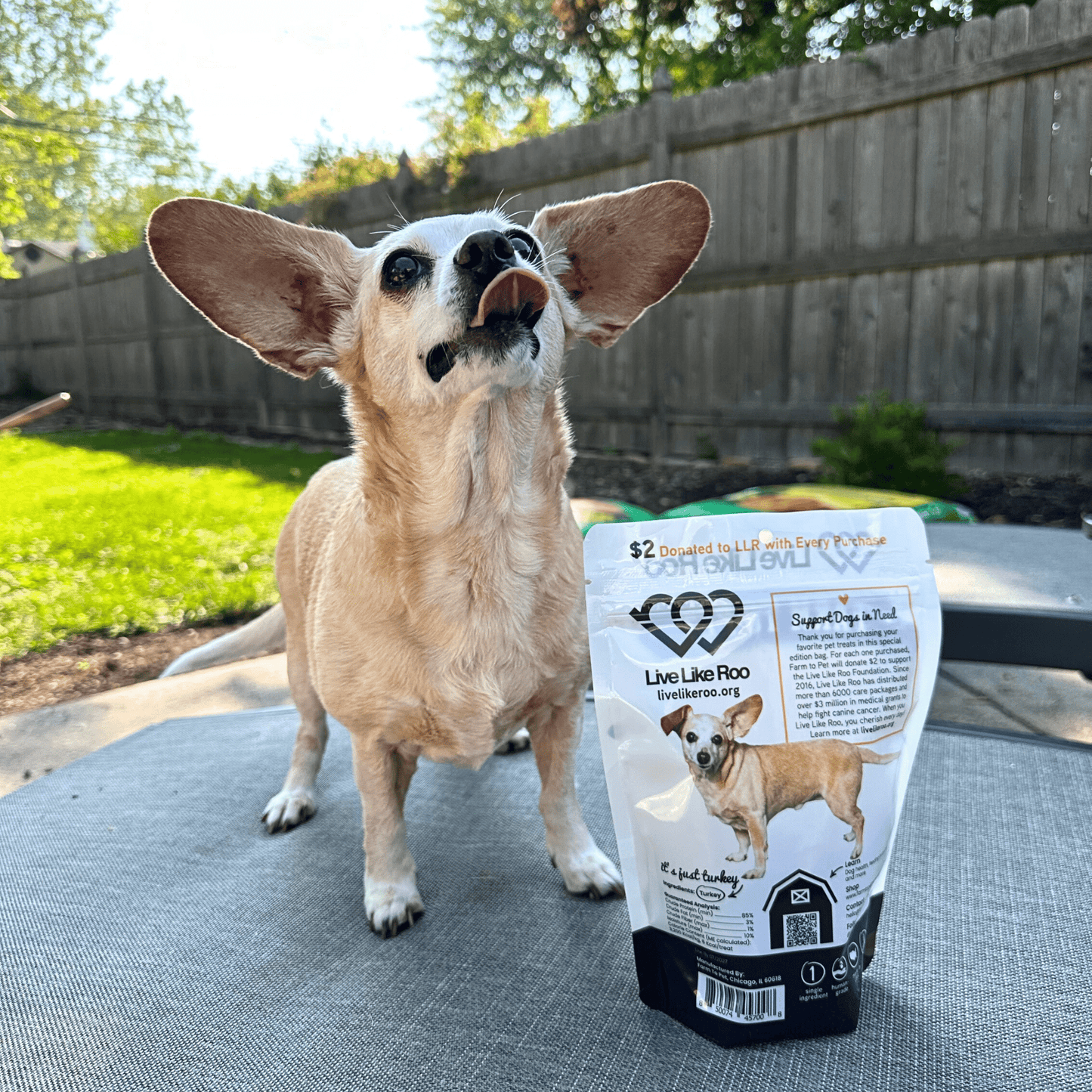 Dog Treats Turkey Chips Charity Live Like Roo 4oz 🦃