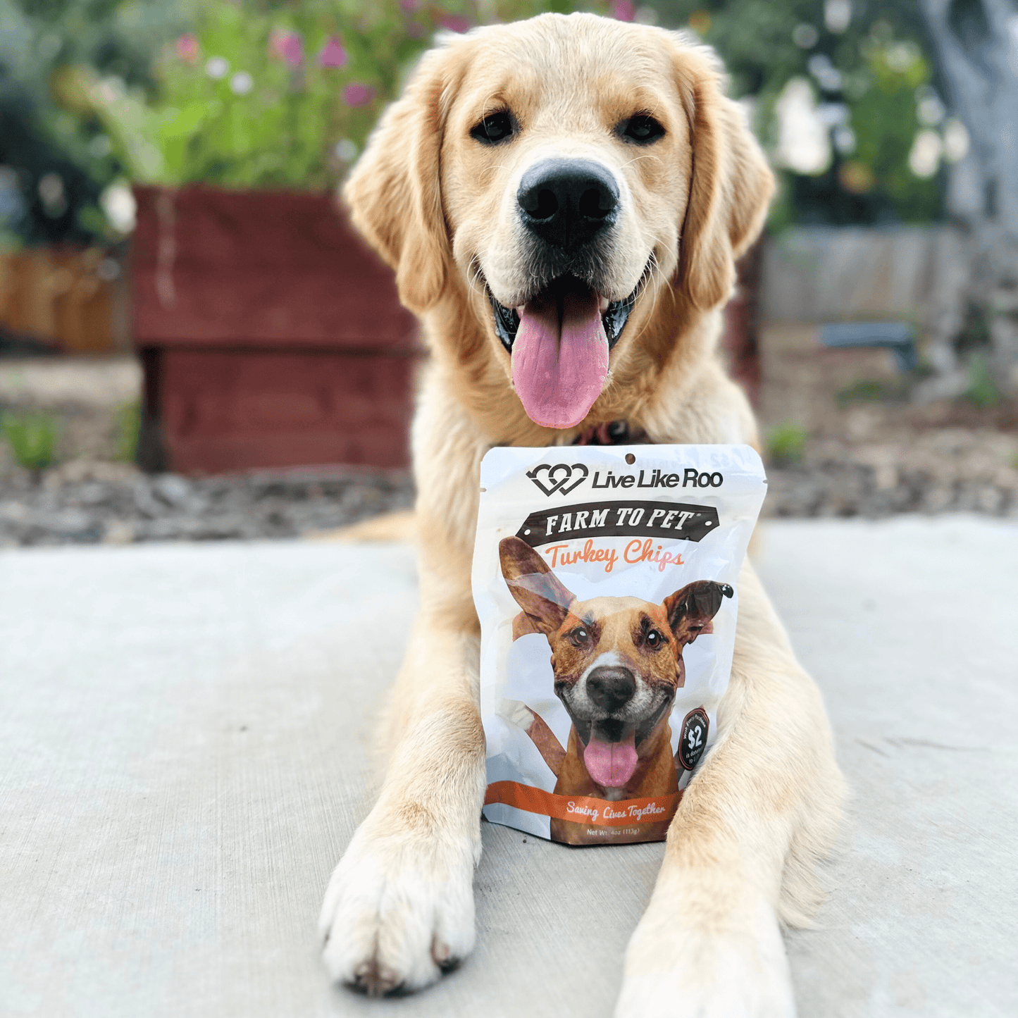 Dog Treats Turkey Chips Charity Live Like Roo 4oz 🦃