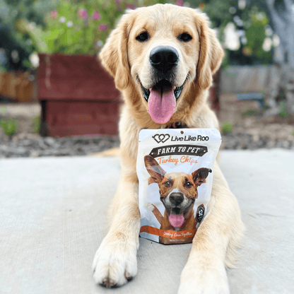 Dog Treats Turkey Chips Charity Live Like Roo 4oz 🦃