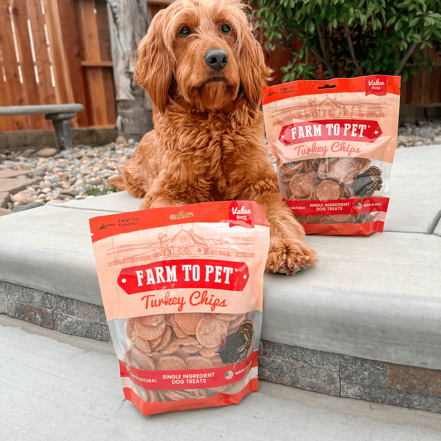 Dog Treats Turkey Chips Single Ingredient Natural 4oz 🦃