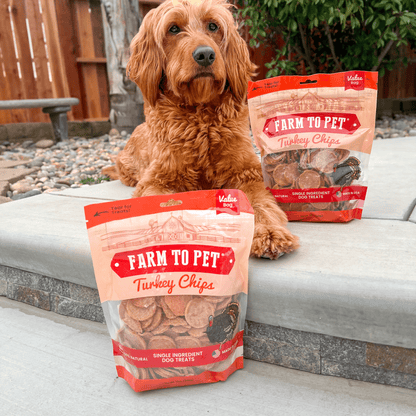 Dog Treats Turkey Chips Single Ingredient Natural 4oz 🦃