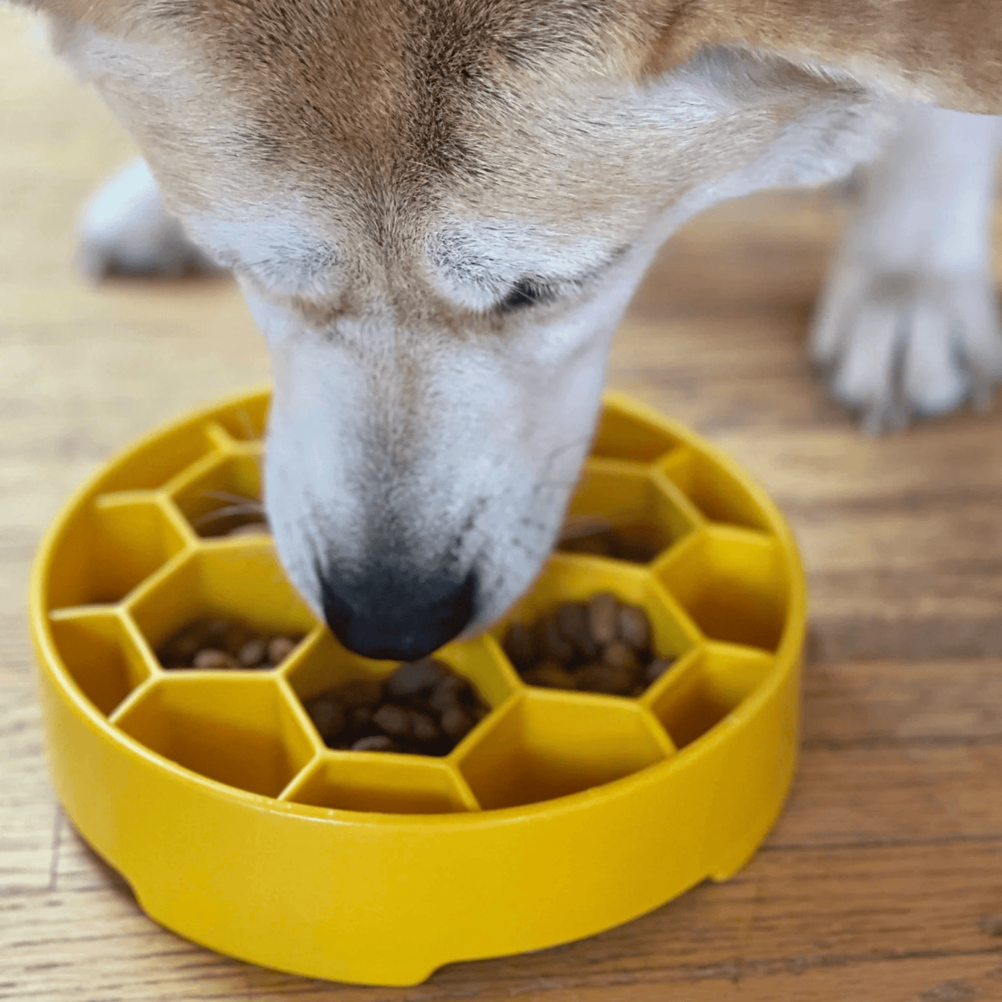 Slow Feeder Dog Bowl Honeycomb Design 🍽️