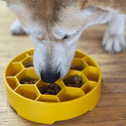 Slow Feeder Dog Bowl Honeycomb Design 🍽️