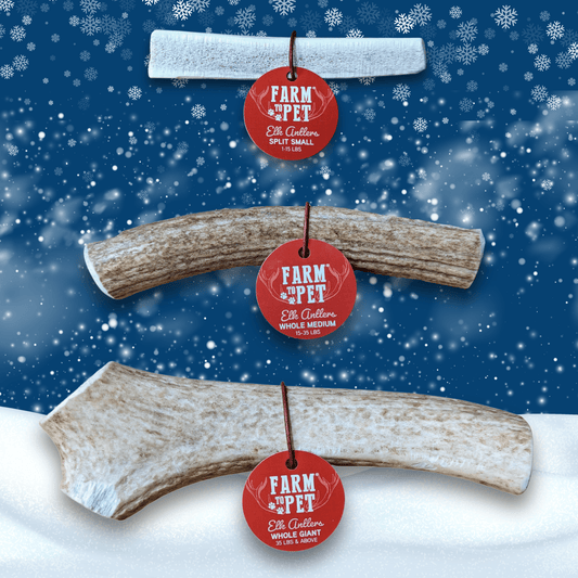 Elk Antler Dog Chews | All-Natural Whole and Split Elk