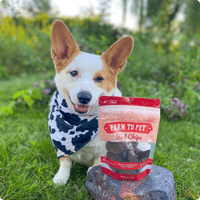 Beef Chips Dog Treats | Single-Ingredient Healthy Treats for