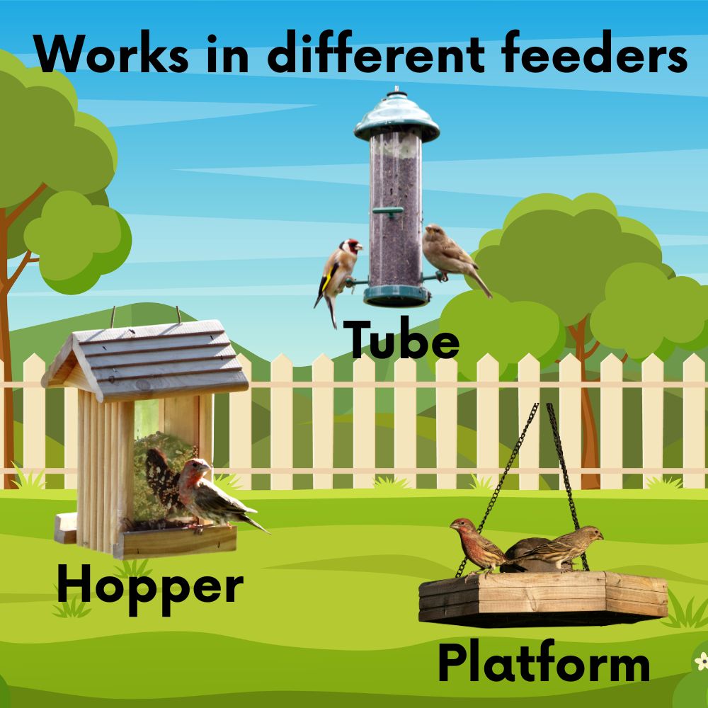 Backyard Birder's Wild Bird Seed Blend